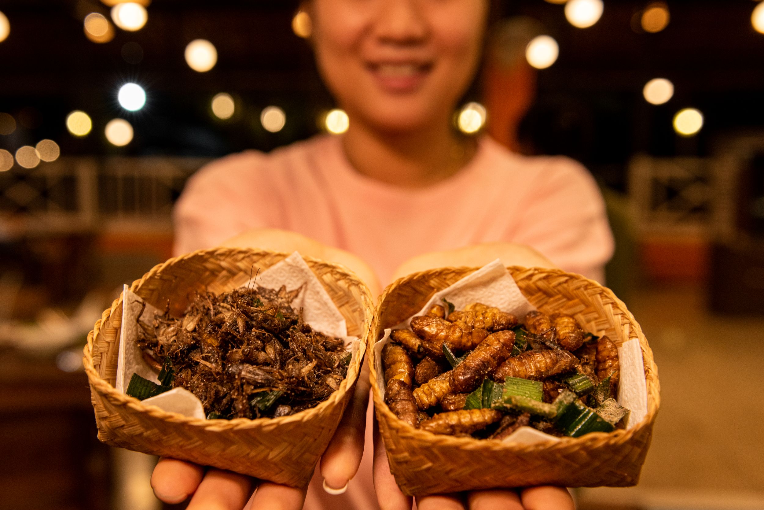 Why Edible Insect Industry Is the Future of Sustainable Eating